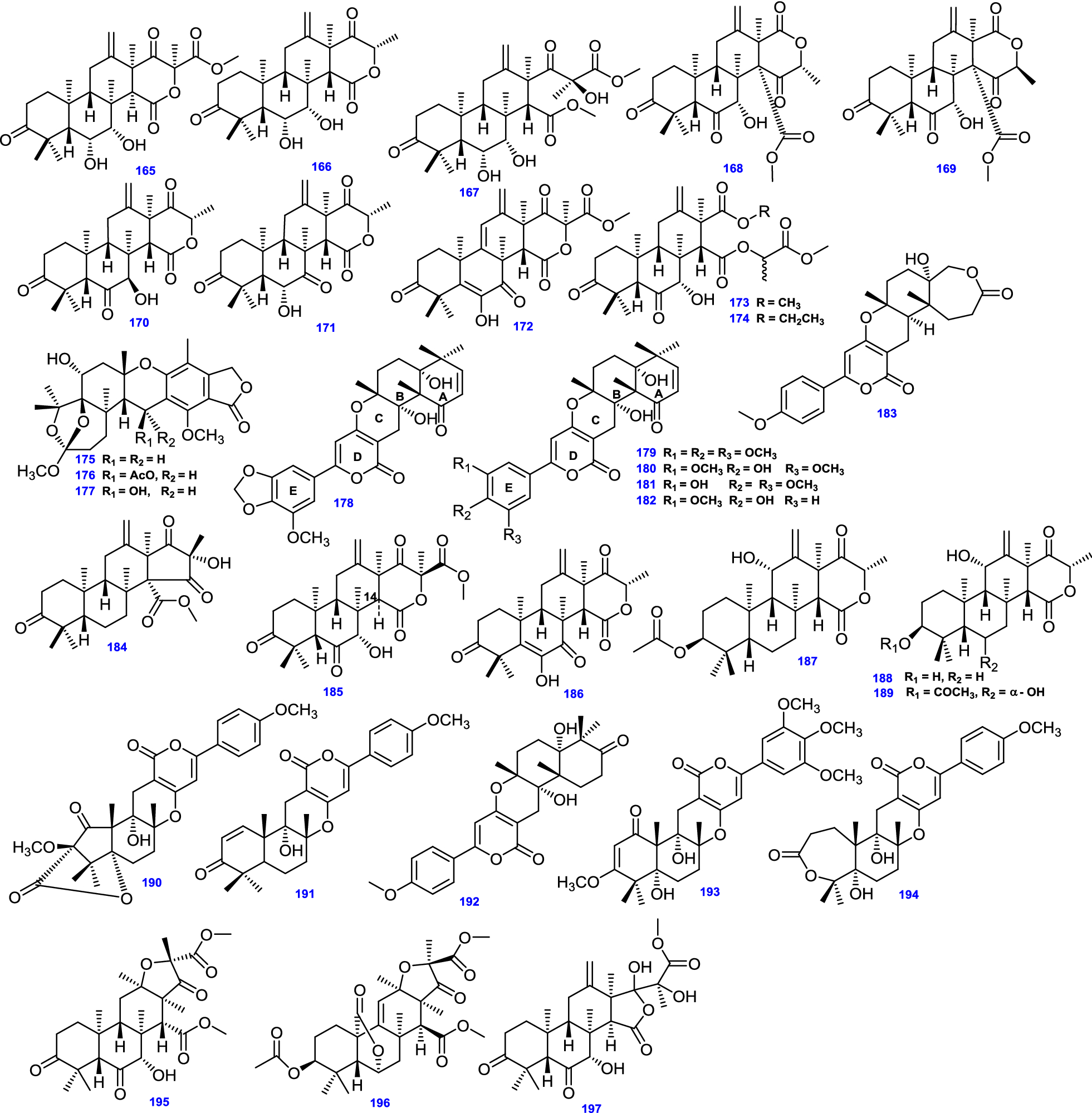 Fig. 12