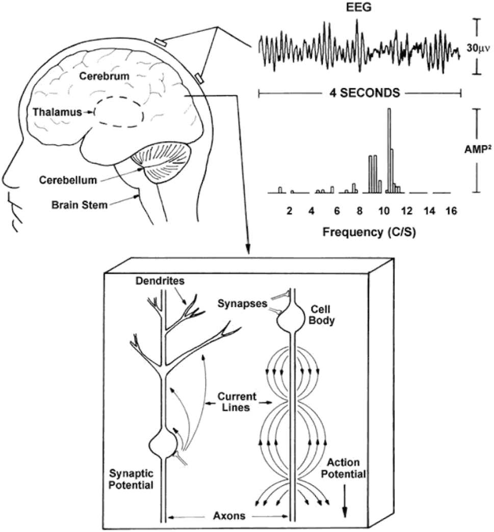 Fig. 1