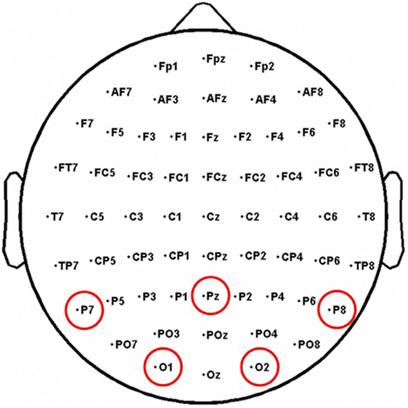 Fig. 2