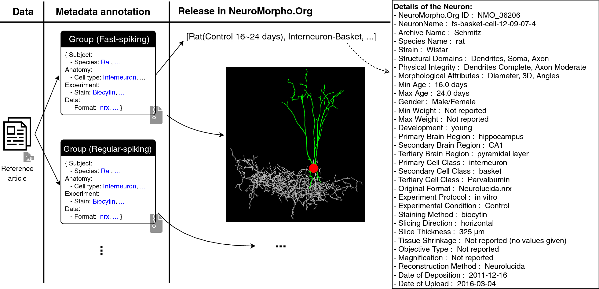 Fig. 1