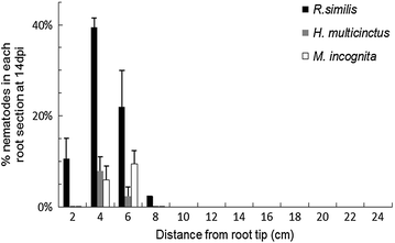 Fig. 6