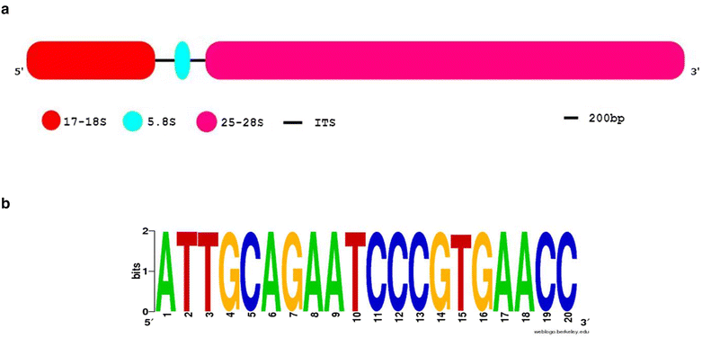 Fig. 1