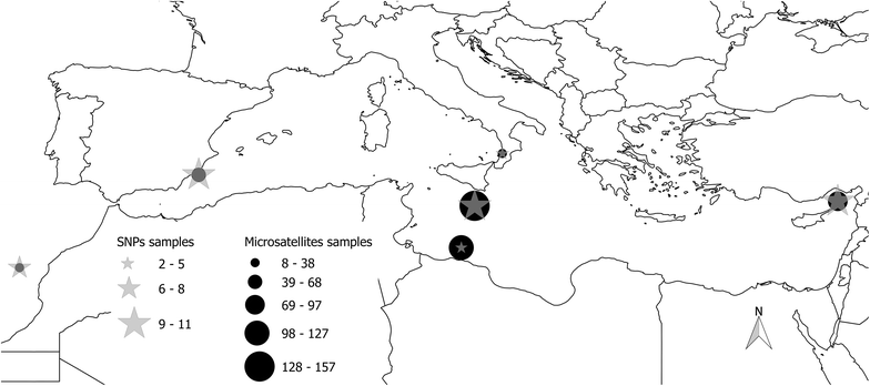 Fig. 1