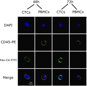 Fig. 10