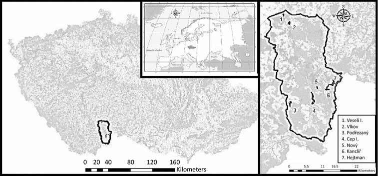 Fig. 1