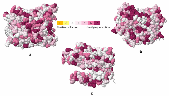 Fig. 1