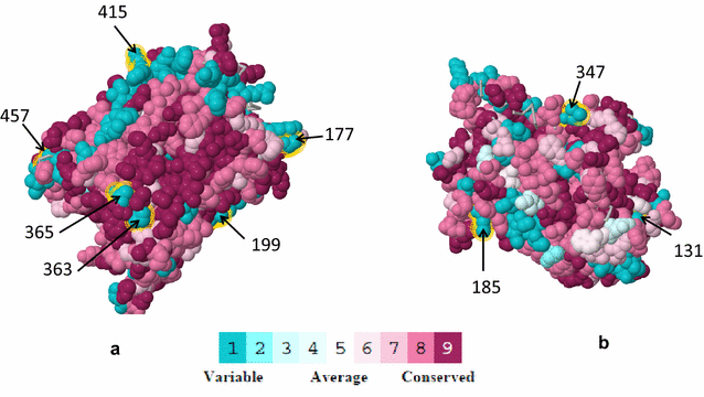 Fig. 2