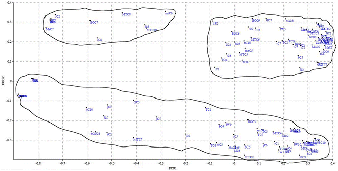 Fig. 5