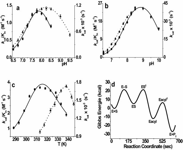 Fig. 6