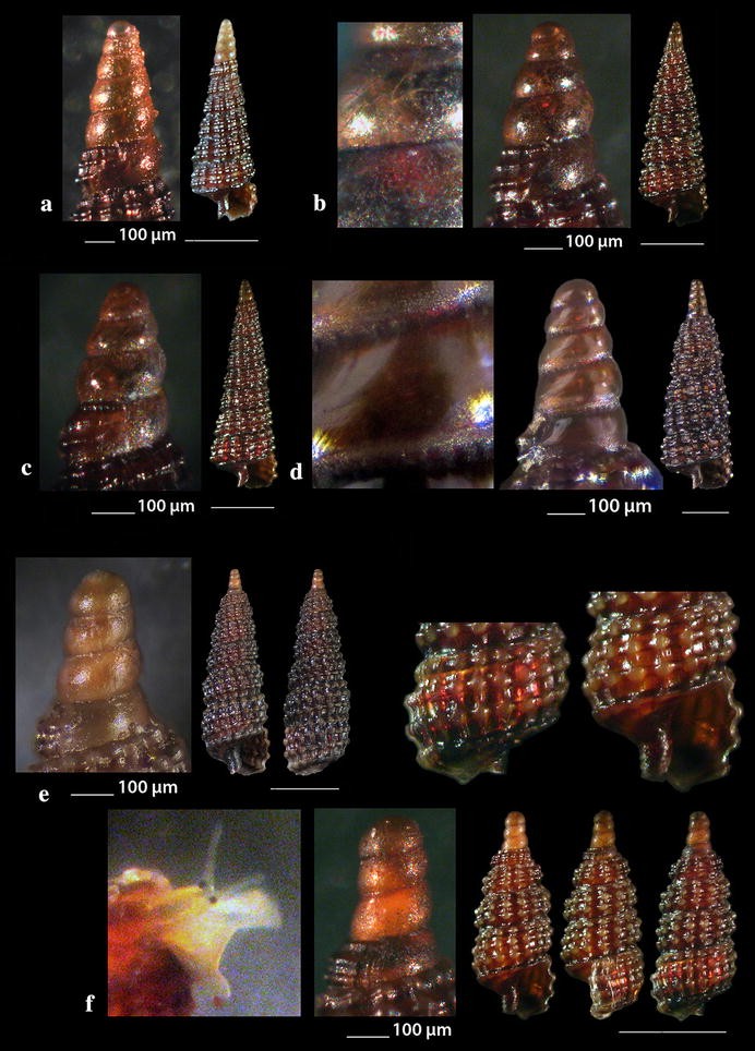 Fig. 11