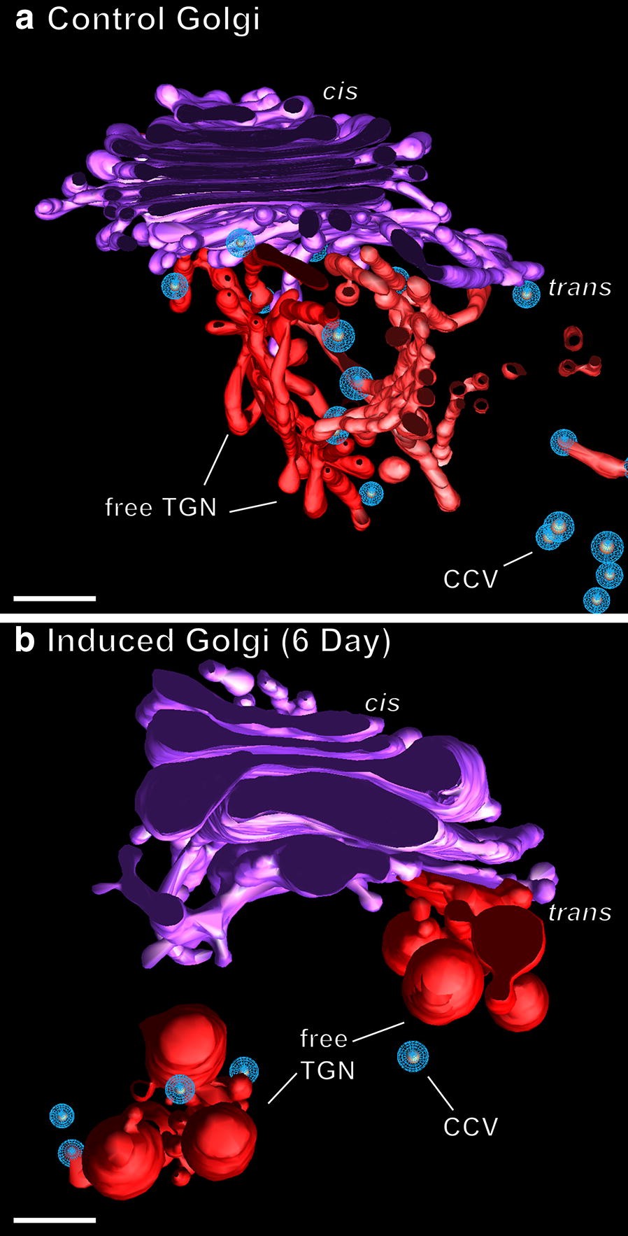 Fig. 10