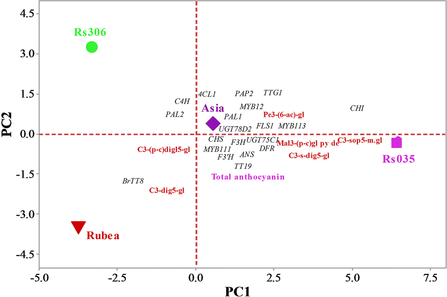 Fig. 5