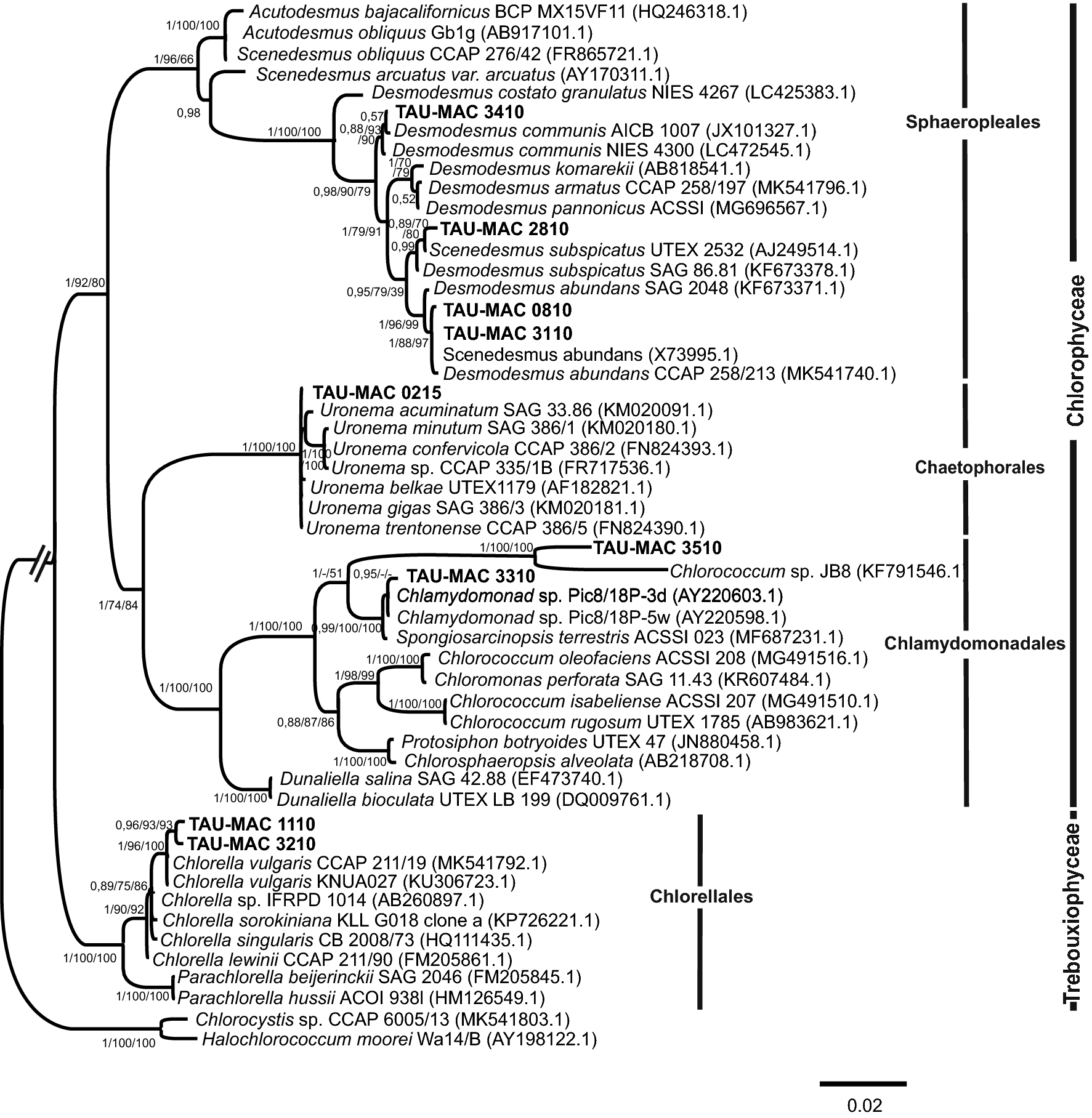 Fig. 3