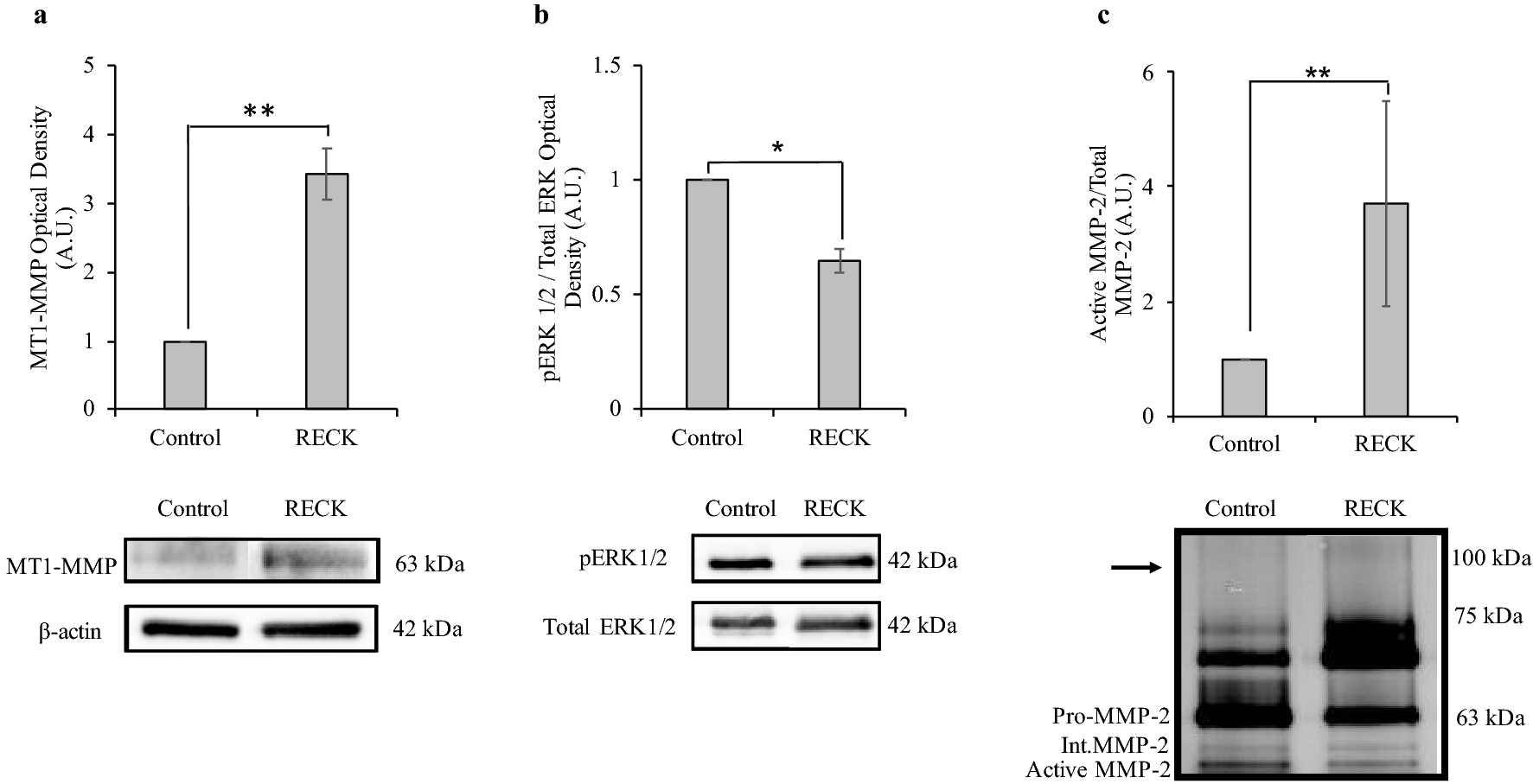 Fig. 4