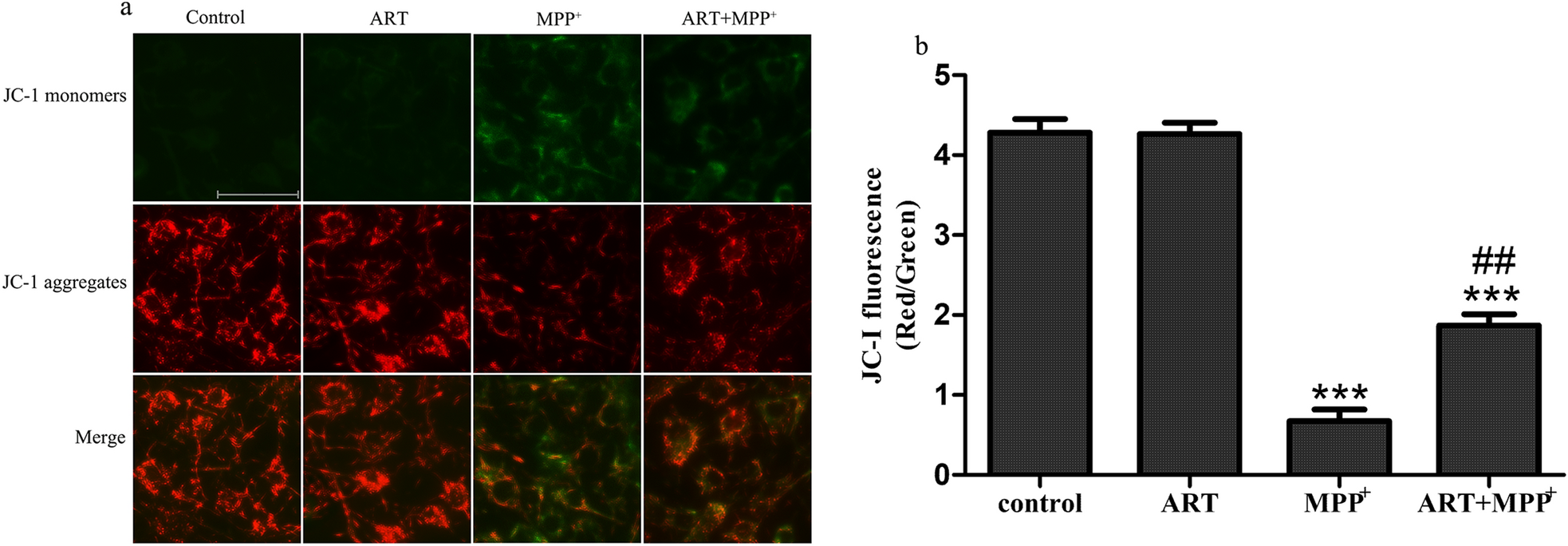 Fig. 3