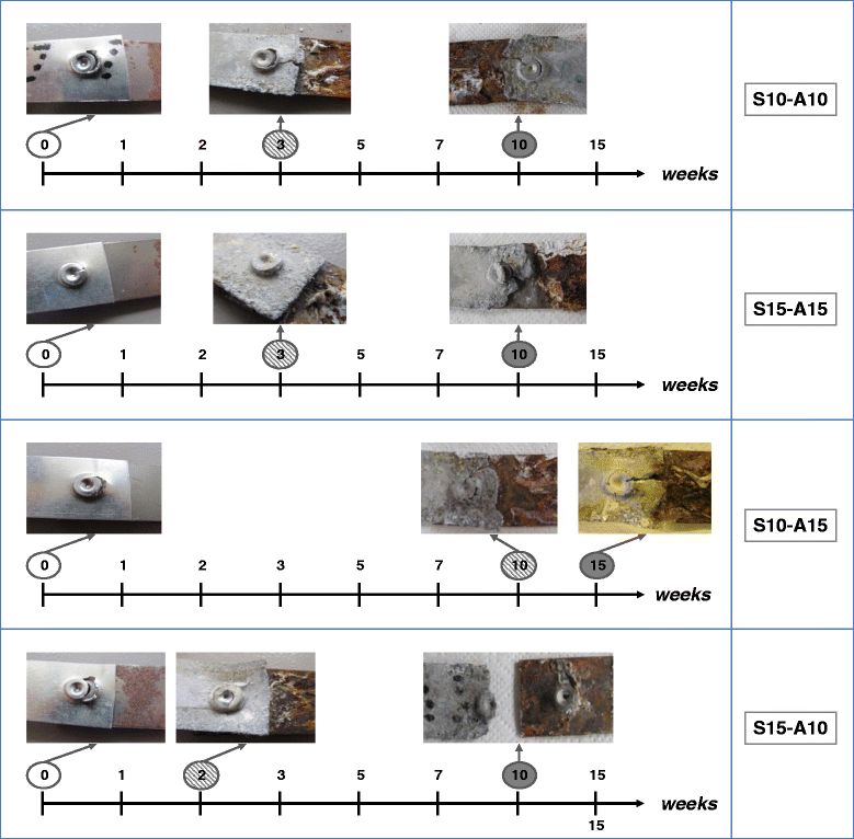 Fig. 11