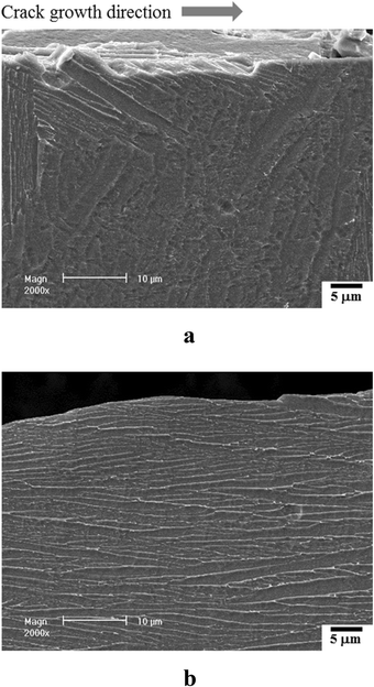 Fig. 11