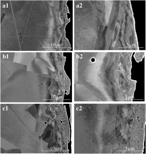 Fig. 12