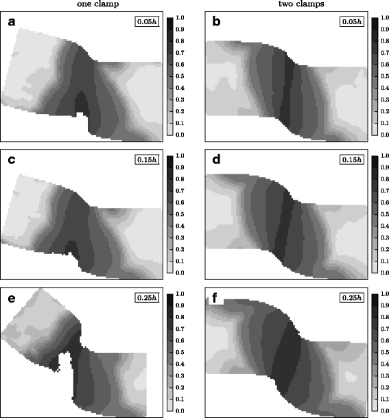 Fig. 10