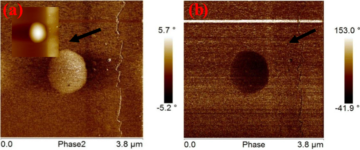 Fig. 4