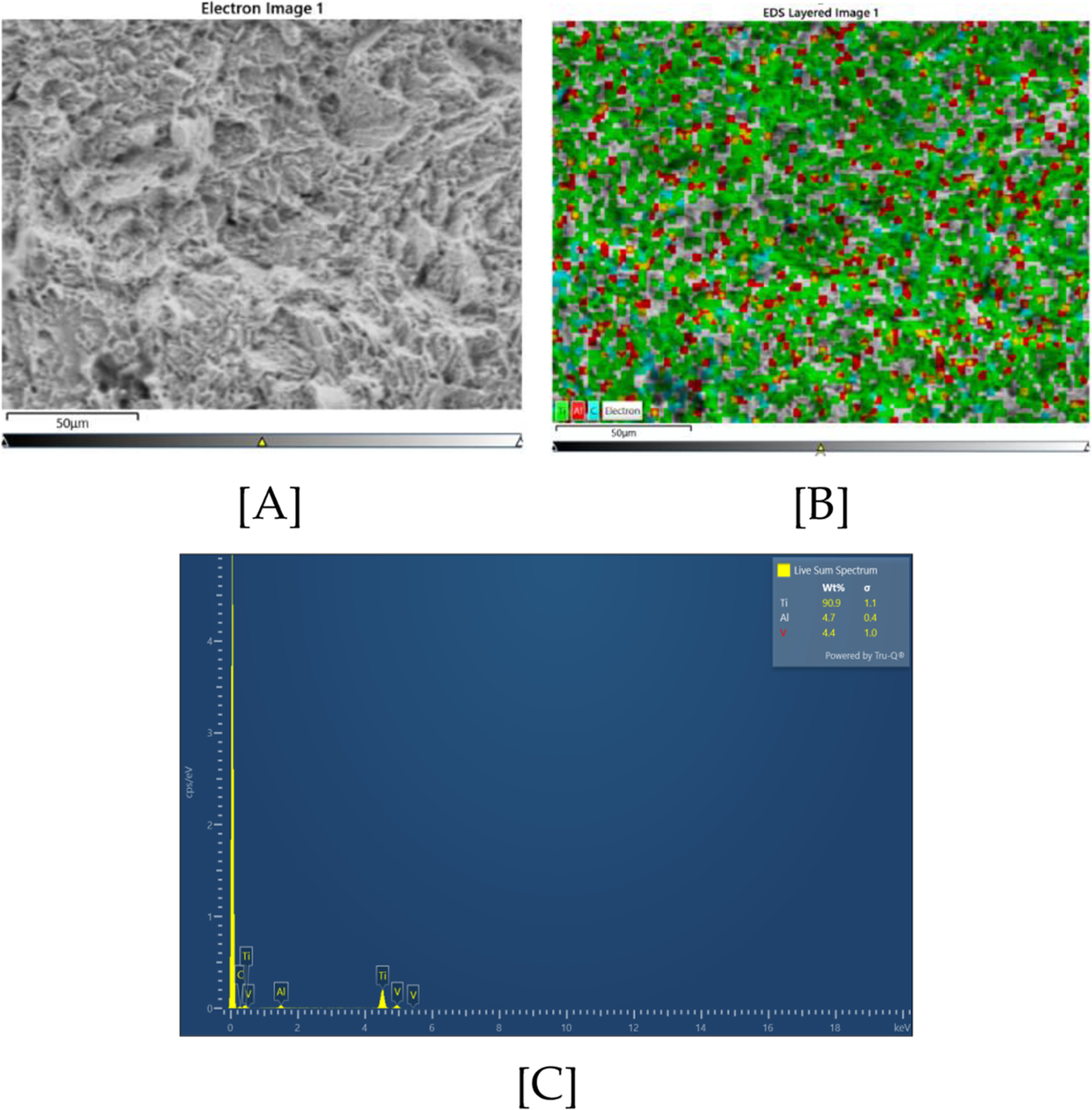 Fig. 10