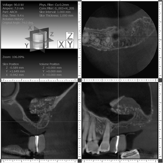 Fig. 5