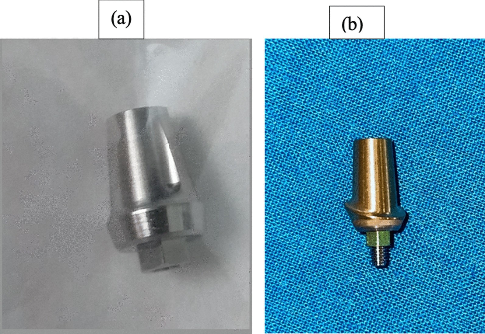 Fig. 2