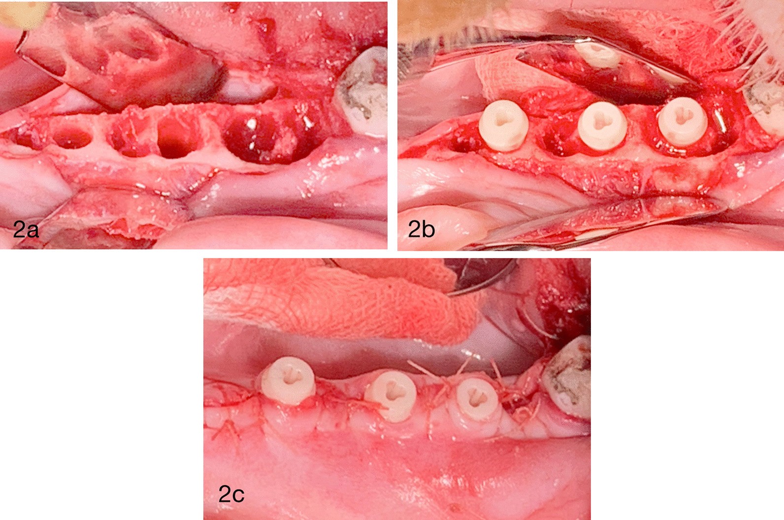 Fig. 2