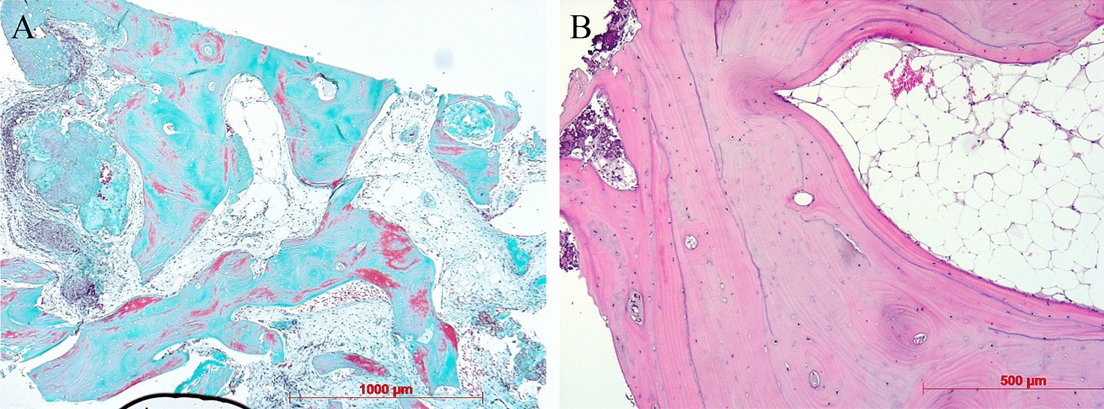 Fig. 9