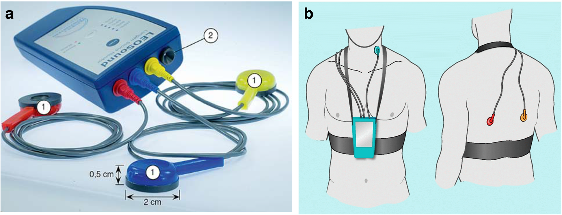 Fig. 1