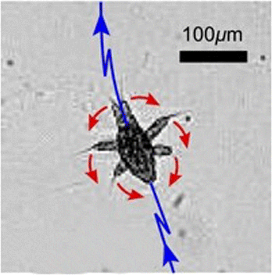 Fig. 1