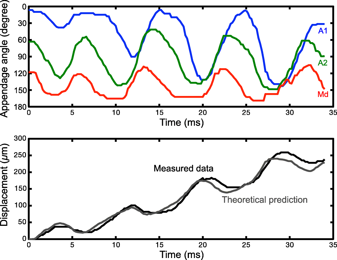 Fig. 21