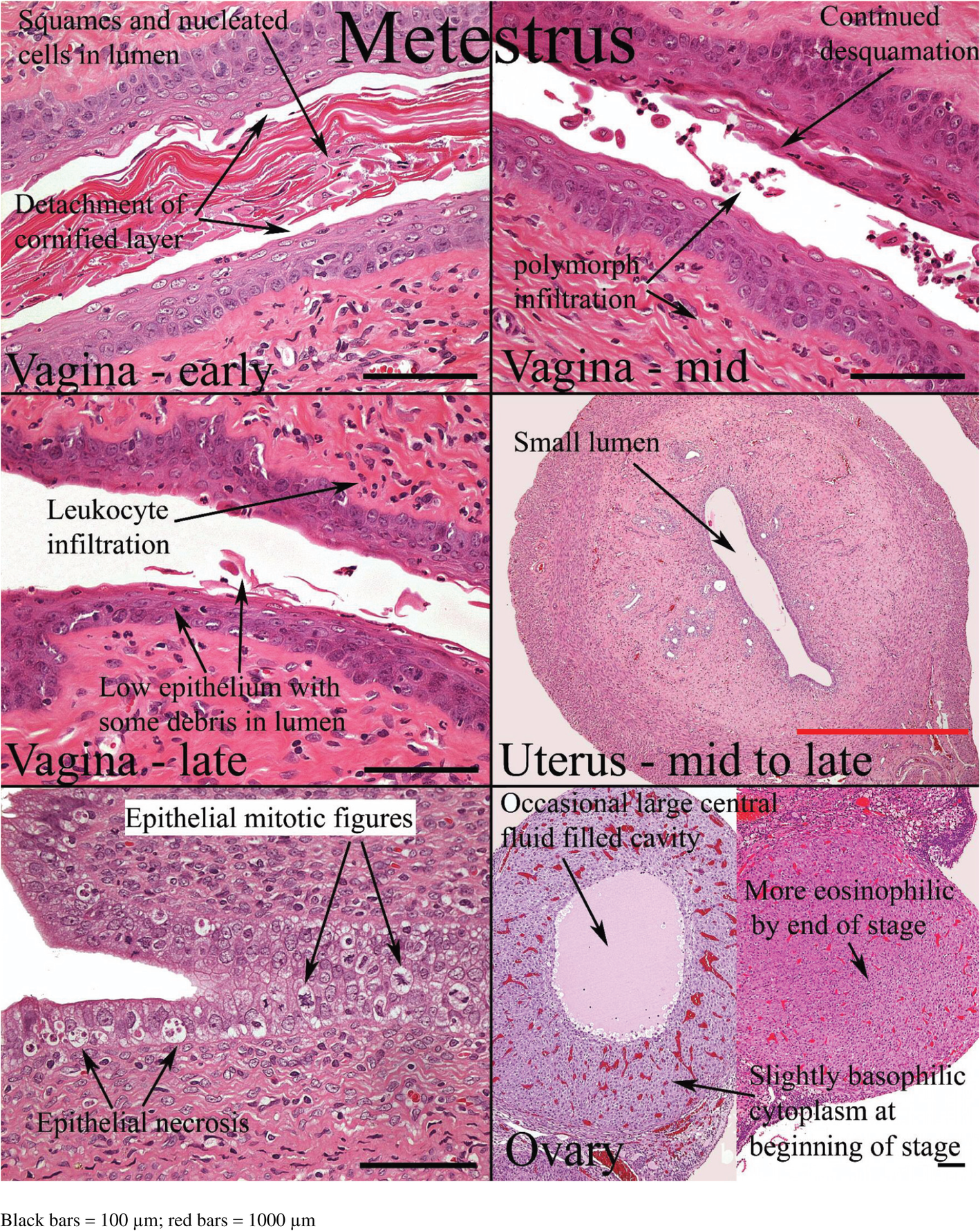 Fig. 13