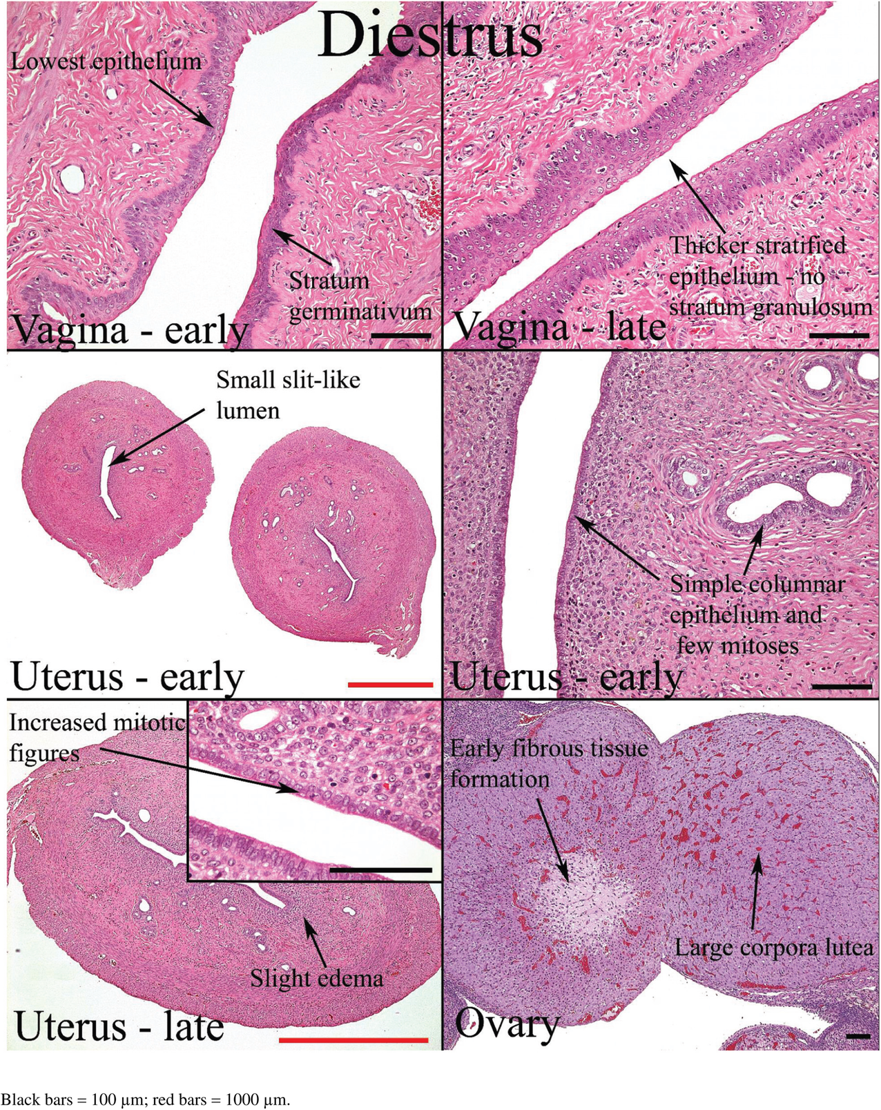 Fig. 14