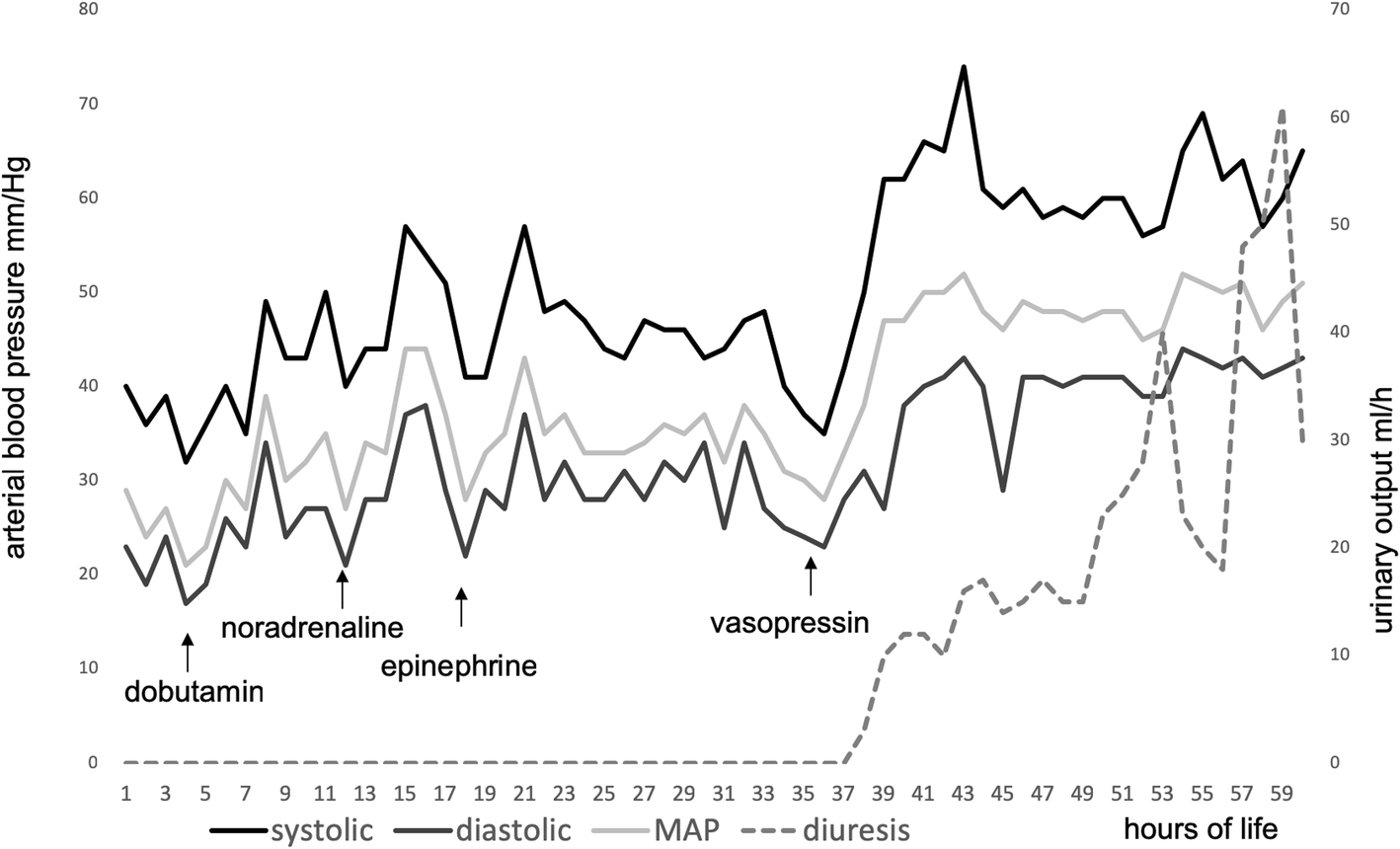 Successful Treatment Of Severe Arterial Hypotension And