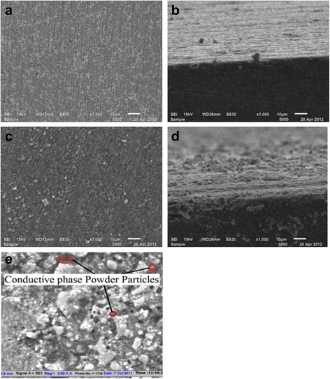 Fig. 13