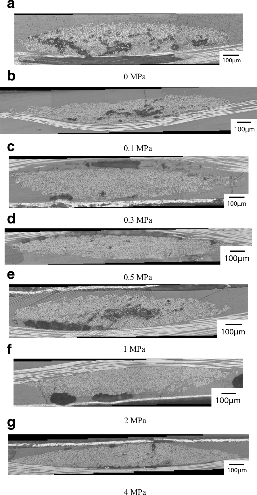 Fig. 12