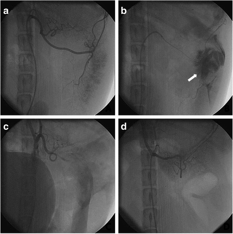 Fig. 5