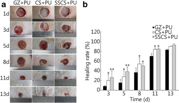 Fig. 8