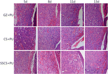 Fig. 9