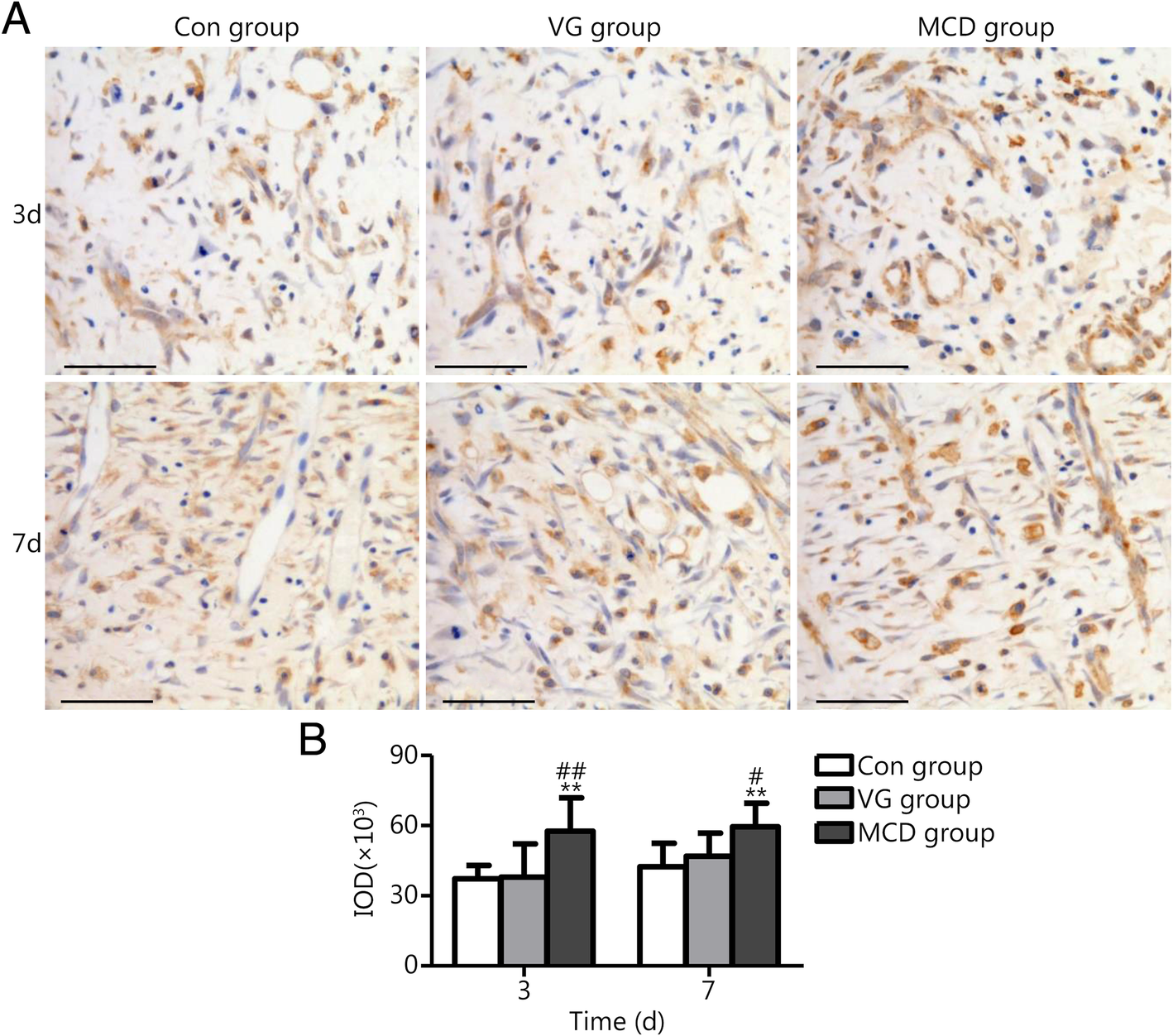 A Novel Microcurrent Dressing For Wound Healing In A Rat Skin Defect Model Military Medical Research Full Text
