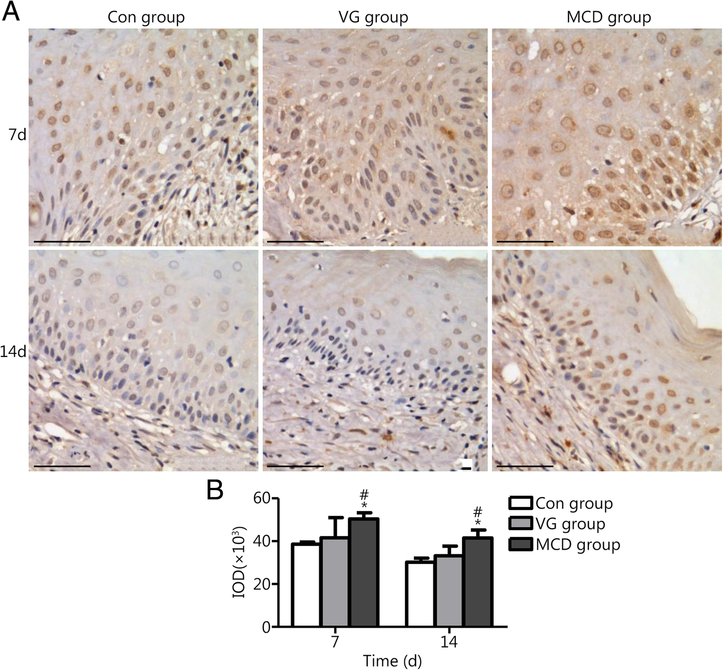 Fig. 6