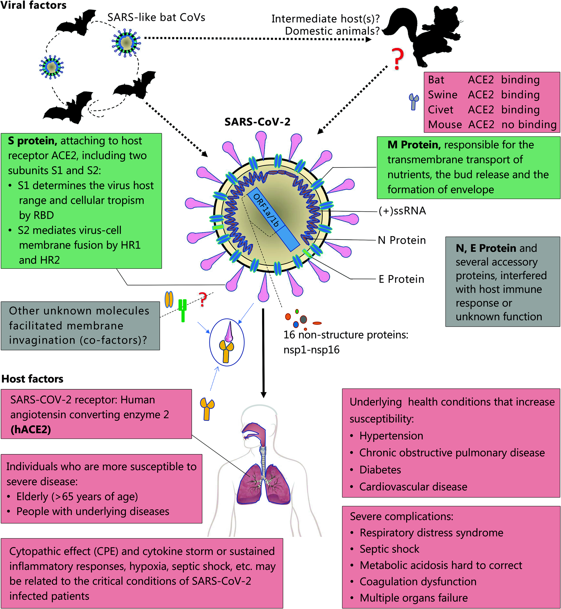 Метод коронавируса