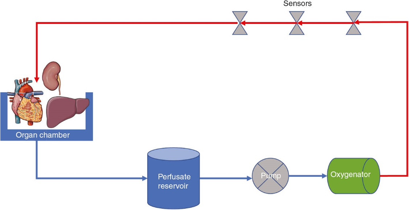 Fig. 1