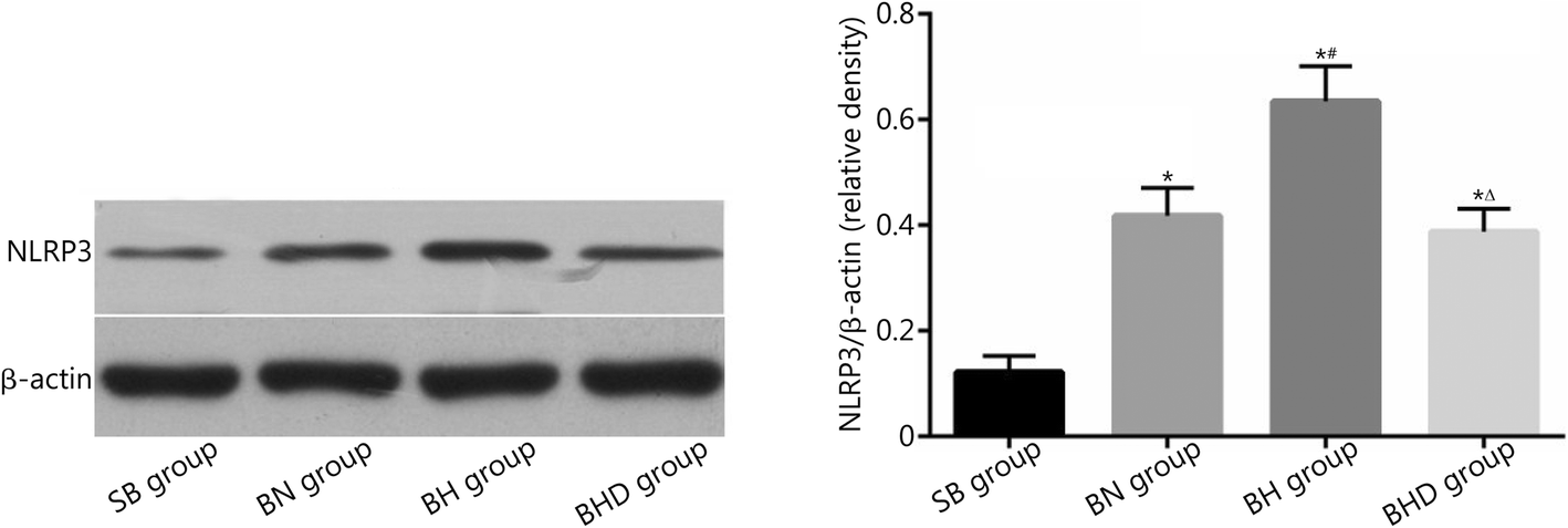 Fig. 5