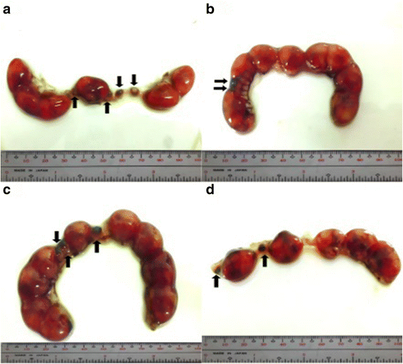 Fig. 10