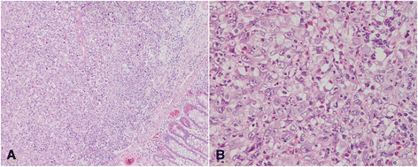 Fig. 8