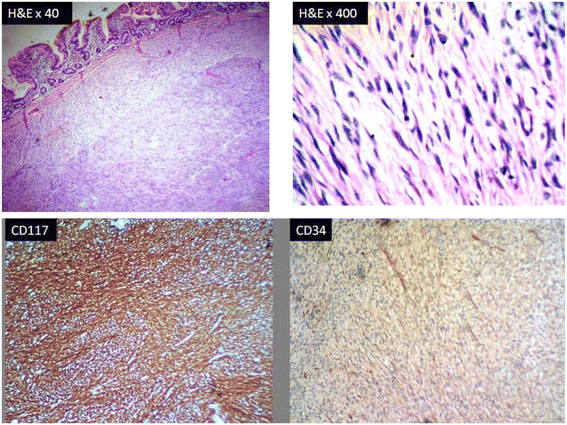 Fig. 8