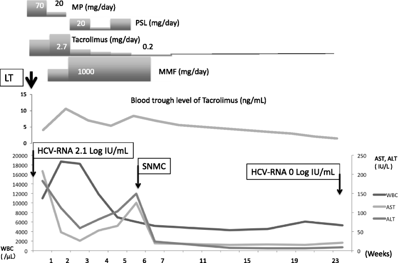 Fig. 3