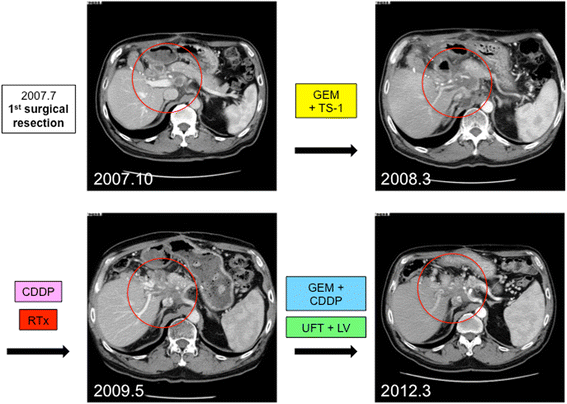 Fig. 4